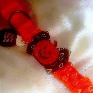 Thrills & Chills Halloween Orange Candy Corn Dog Collar (L)